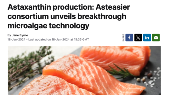 Asteasier FeedNavigator